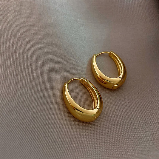 Smooth Zinc Alloy Hoop Earrings